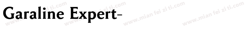 Garaline Expert字体转换